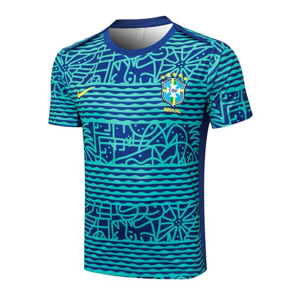 Camiseta Entrenamiento Brasil 2024 2025 Azul